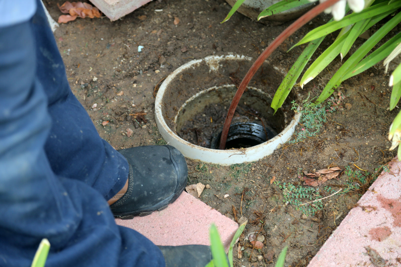 Backflow Testing Work